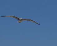 DSC05860_DxO