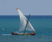 DSC05878_DxO