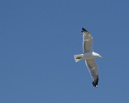 DSC05866_DxO