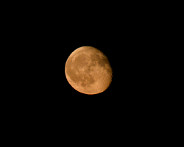 DSC05896_DxO