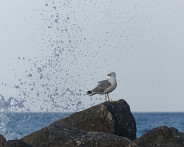 DSC08290_DxO
