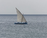 DSC08317_DxO