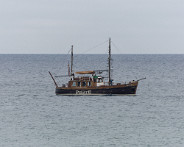 DSC08334_DxO