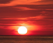 DSC08371_DxO